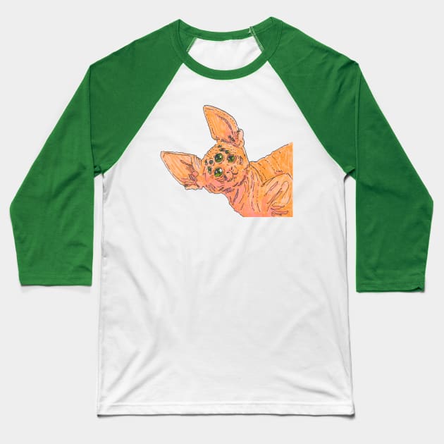 Spider Cat Baseball T-Shirt by Phosfate